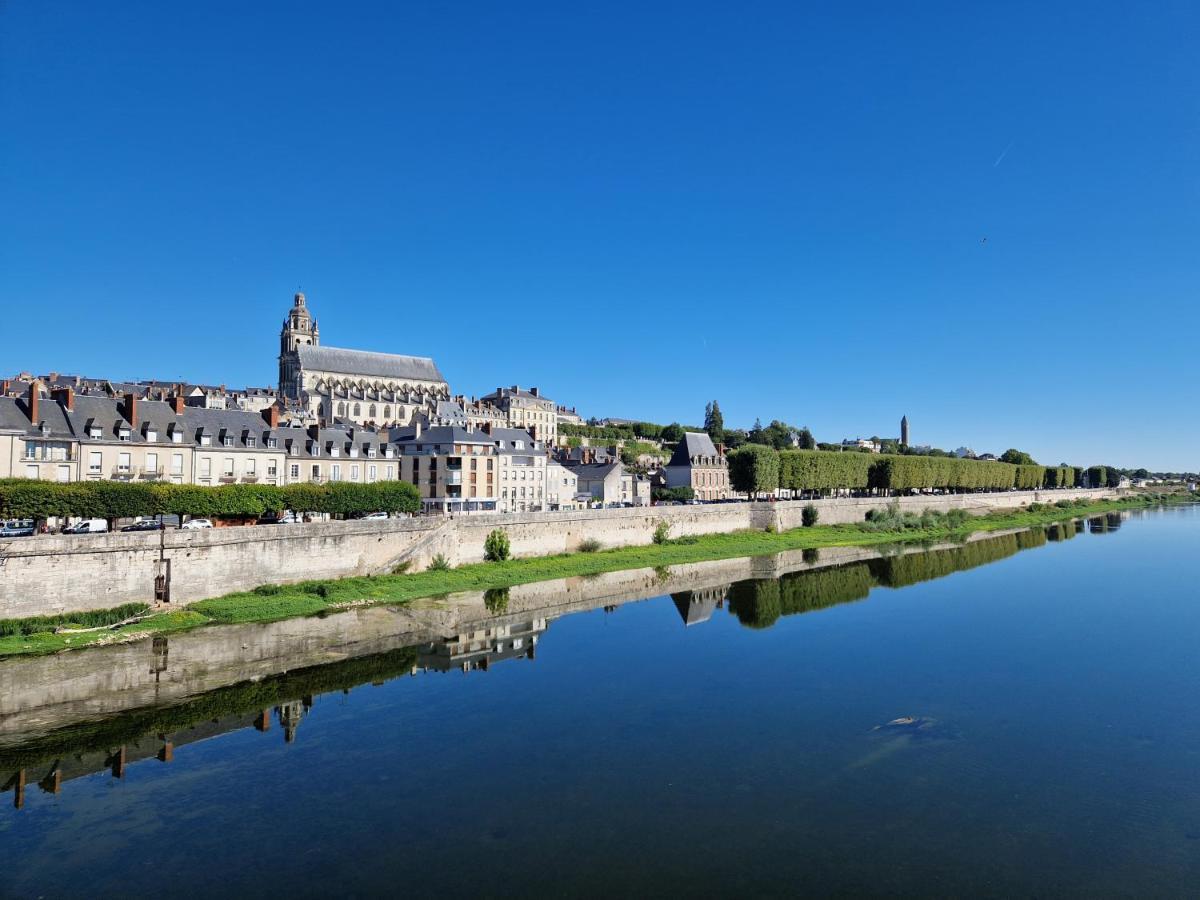 Apartment Le Saint Jean Et Son Parking Privee Blois